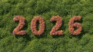 (Quelle: CCO Public Domain / pixabay)