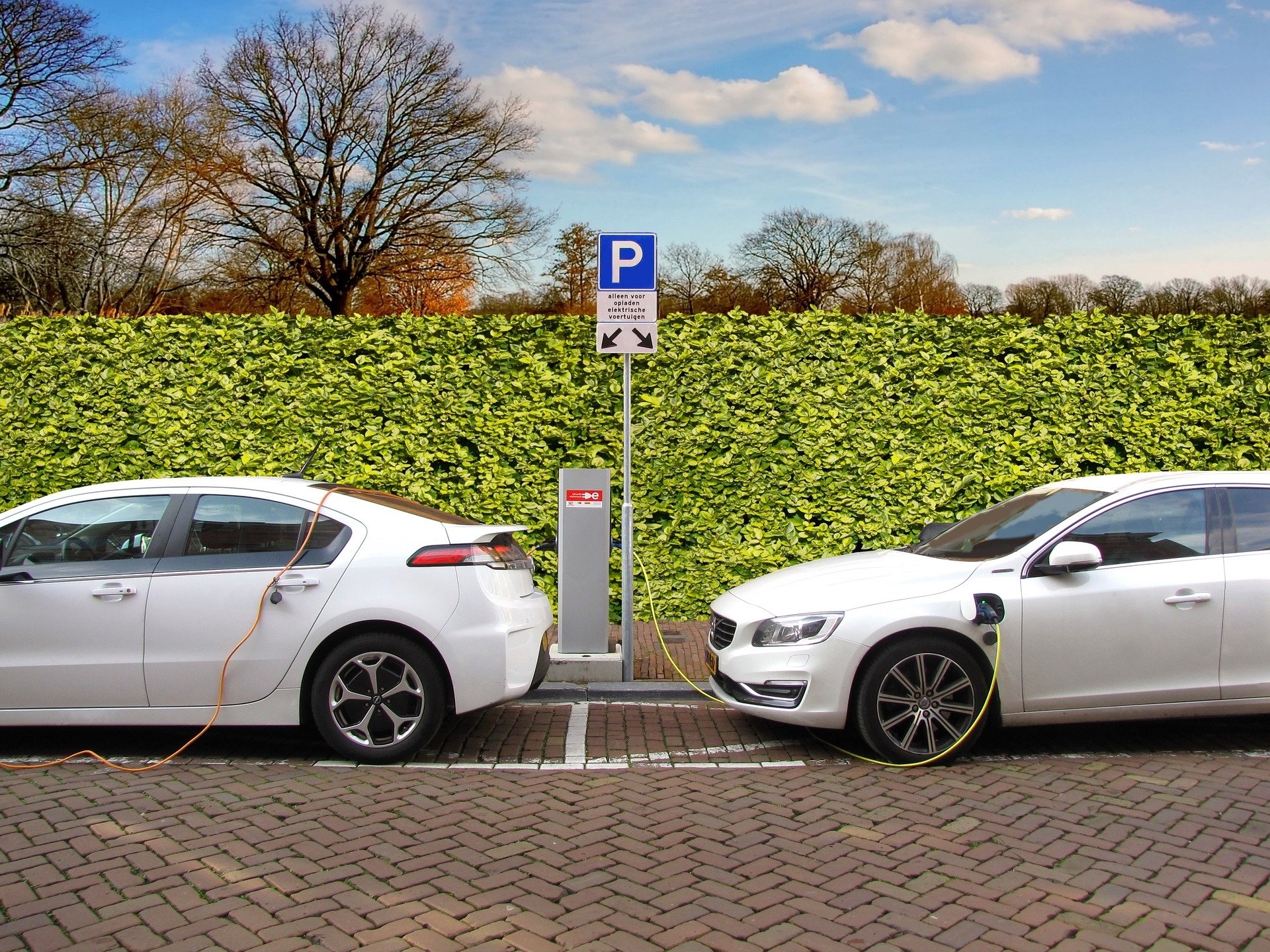 Zwei E-Autos parken und laden an einer Elektrosäulen